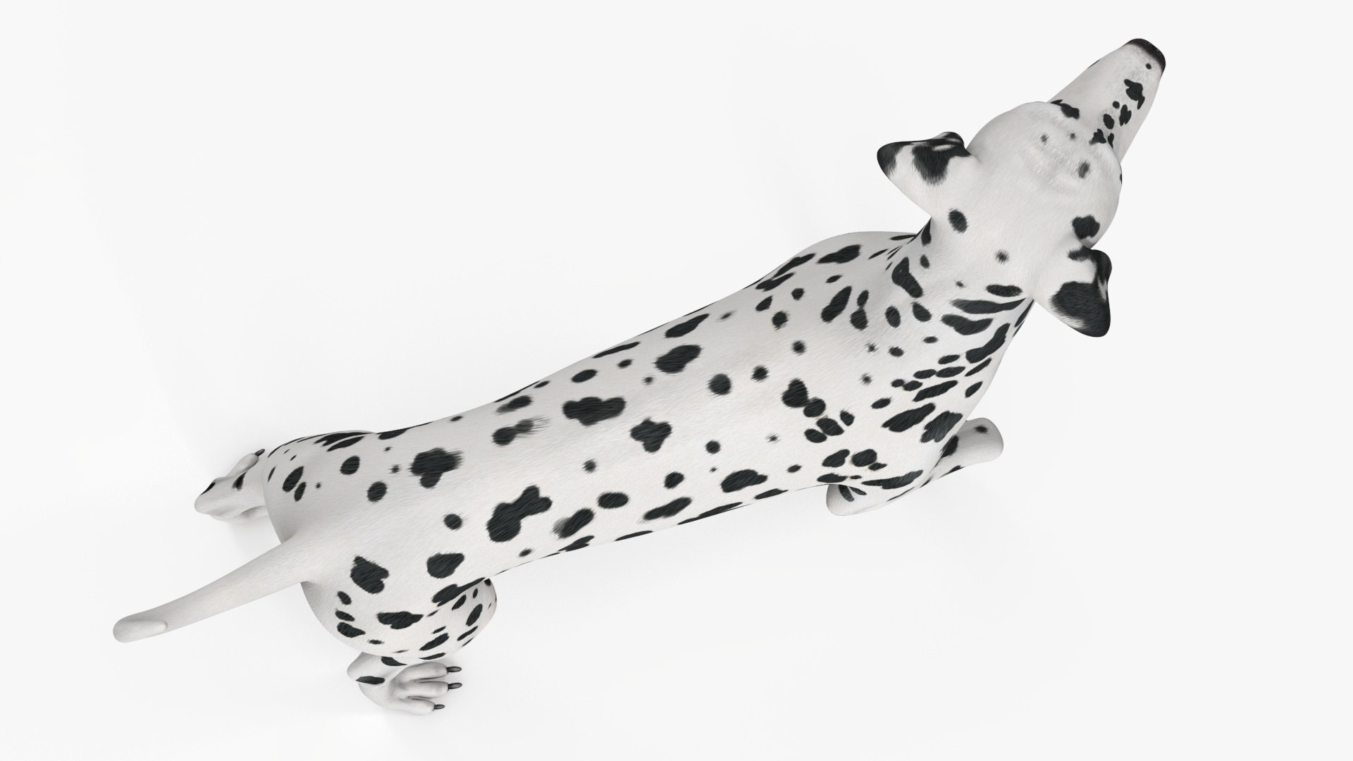 Dogs Collection model https://p.turbosquid.com/ts-thumb/hi/1AJbFt/Pk/dogs_collection_020/jpg/1771016975/1920x1080/fit_q87/7ea05ef8522c6ef8fc81c6a0cf3411e85aedf9a5/dogs_collection_020.jpg