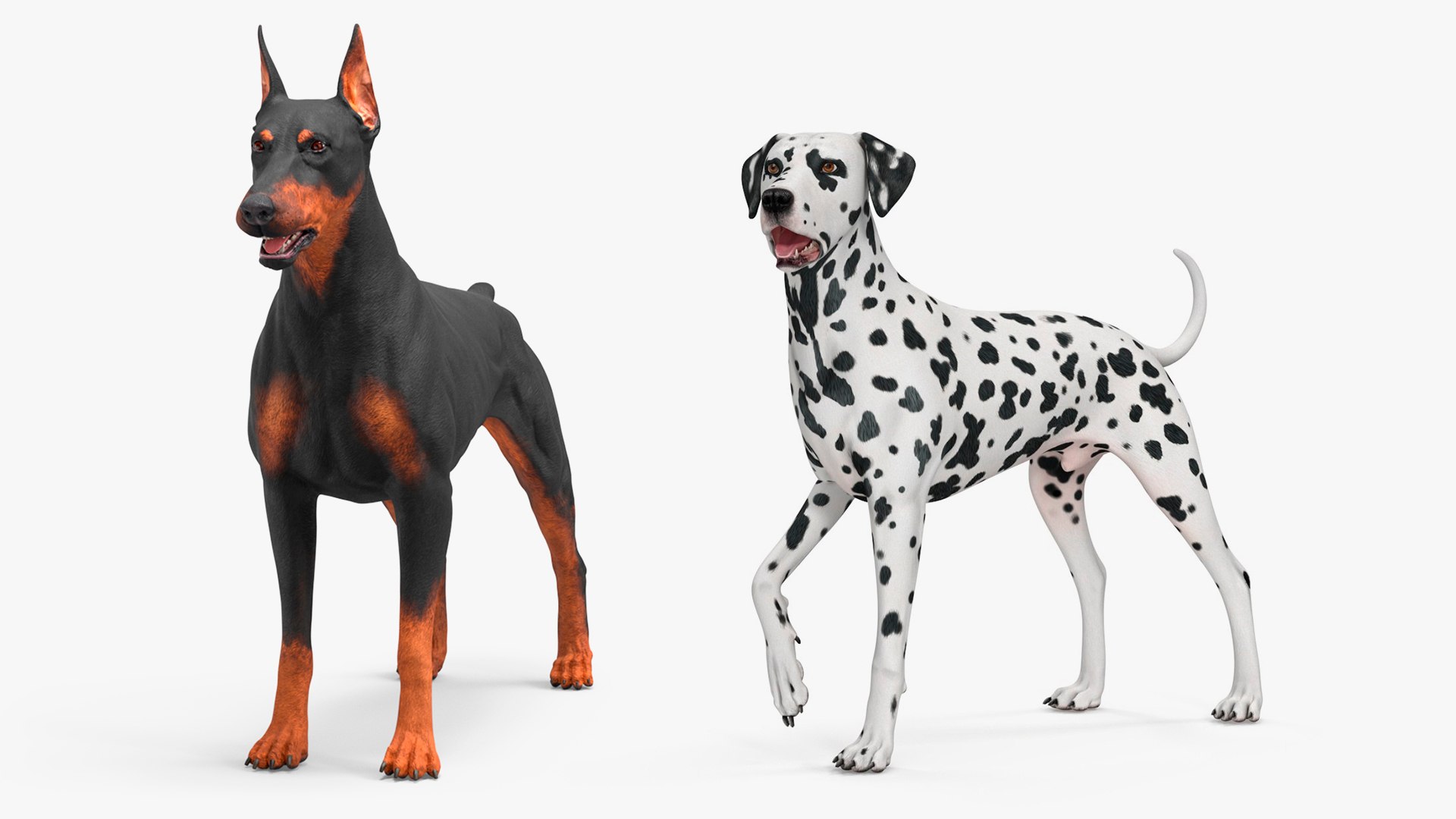 Dogs Collection model https://p.turbosquid.com/ts-thumb/hi/1AJbFt/dm/dogs_collection_001/jpg/1771016972/1920x1080/fit_q87/d83c64a69048836859441dcbd2e50602710d83a8/dogs_collection_001.jpg