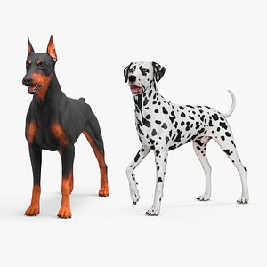 Dogs Collection