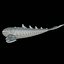 Fat-bellied blue whale 3D model