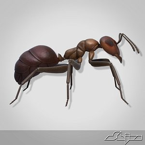 3ds ant modeled
