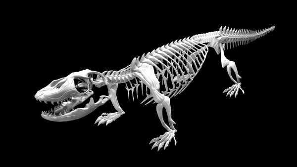 Rigged komodo dragon skeleton 3D model - TurboSquid 1887424