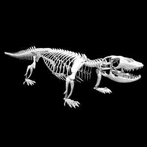 Rigged komodo dragon skeleton 3D model