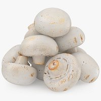 Pile Champignon Mushrooms