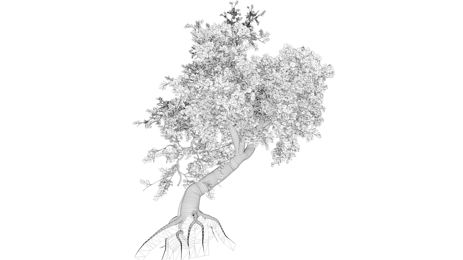 Japanese Maple Tree - 05 - 3D Model - TurboSquid 2376684