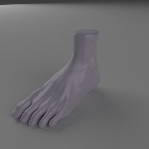 simple foot 3D model