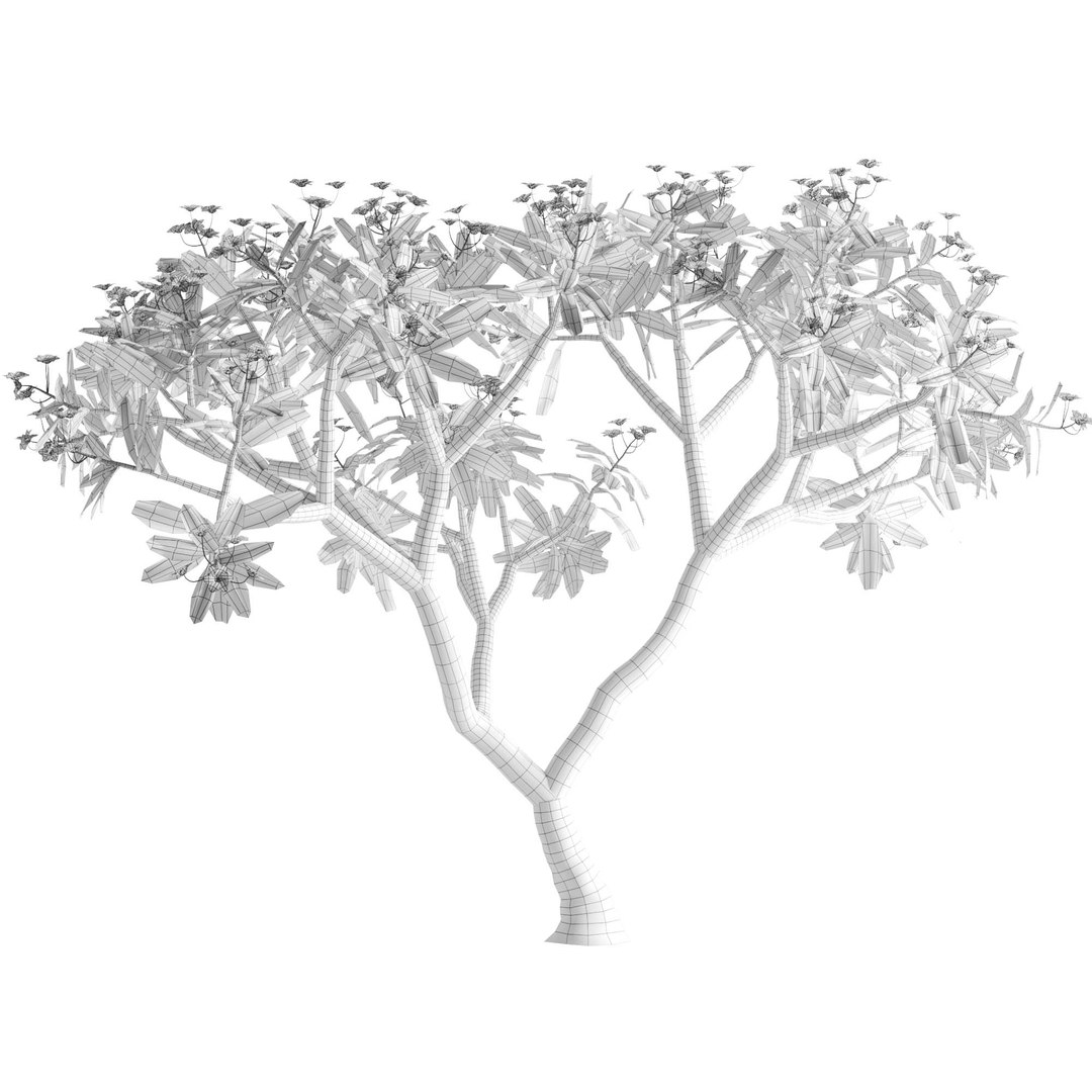 Plumeria rubra -Frangipani Tree-01 3D model https://p.turbosquid.com/ts-thumb/hi/d4LNe7/KE/03/jpg/1661343934/1920x1080/fit_q87/f55828a9c25ff0f47acbadfd02bf89875579c3c2/03.jpg