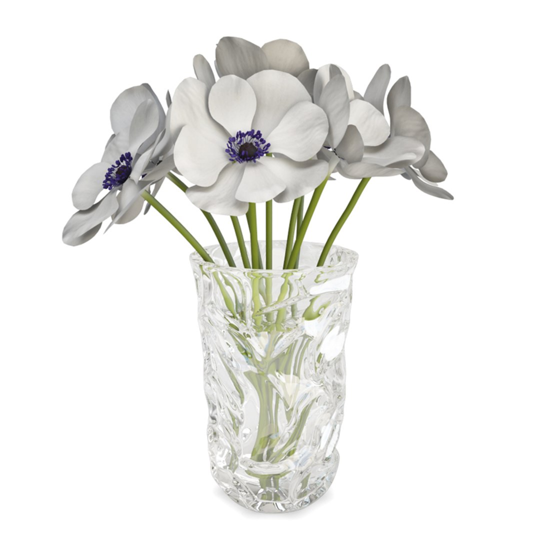 3D decoratives flowers vases bouquet https://p.turbosquid.com/ts-thumb/hi/exQRoH/NU7mB6hX/flowers_anemones/jpg/1562679893/1920x1080/fit_q87/d46c81412ee4ceccade136caf401fa833cd1ce40/flowers_anemones.jpg