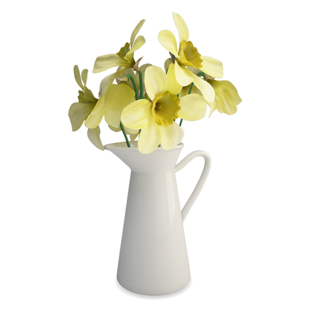 3D decoratives flowers vases bouquet https://p.turbosquid.com/ts-thumb/hi/exQRoH/Sljxgml2/flowers_jonquilles/jpg/1562679893/1920x1080/fit_q87/792afe71893a08790a32d0c50b7fc0aa5a92d0ea/flowers_jonquilles.jpg