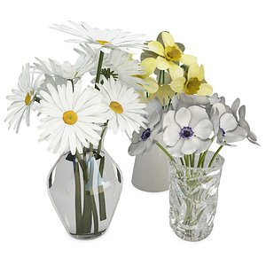 3D decoratives flowers vases bouquet