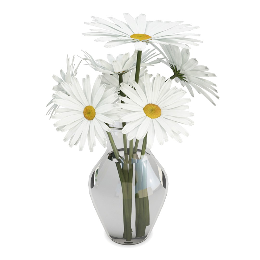3D decoratives flowers vases bouquet https://p.turbosquid.com/ts-thumb/hi/exQRoH/saQVvIva/flowers_marguerites/jpg/1562679893/1920x1080/fit_q87/07775b091ccd38b13d09c1aff81e6b9aa52101f3/flowers_marguerites.jpg