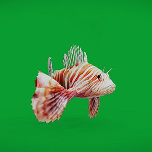 Lionfish 3D model