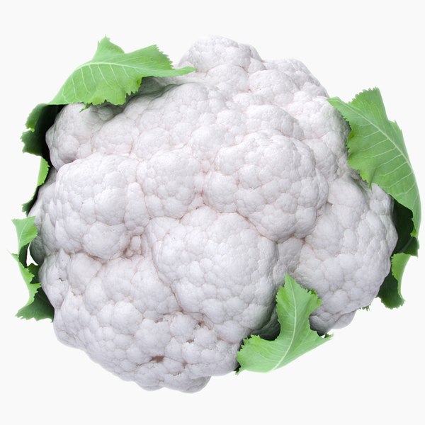 cauliflower leaves 3d max