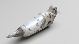 Seal 3D model