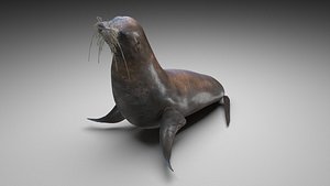 Seal 3D model