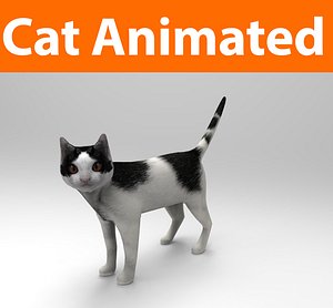 cat animated