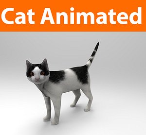cat animated