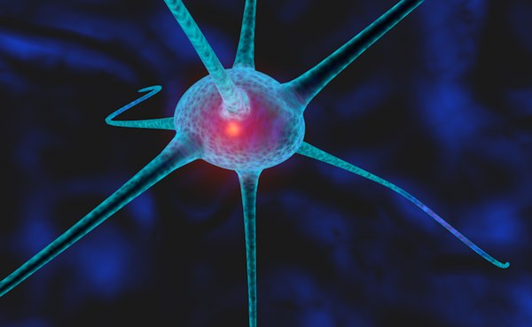 cell 01 obj