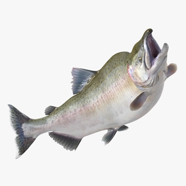 pinksalmonriggedvray3dmodel052.jpg