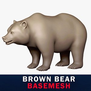 3D Brown Bear Base Mesh model