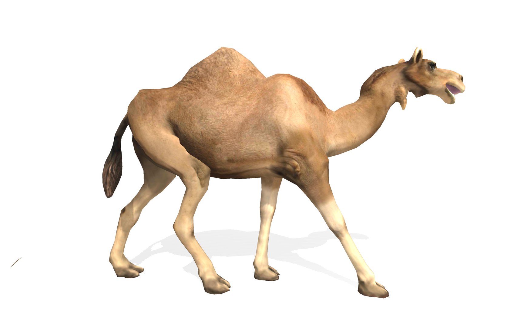 3D dromedary camel rigged animal model https://p.turbosquid.com/ts-thumb/hj/PxZKgw/0f7wlcpM/2/jpg/1583138231/1920x1080/fit_q87/7b9e703d31f0908a14e882cd0d5fa2c50449171d/2.jpg