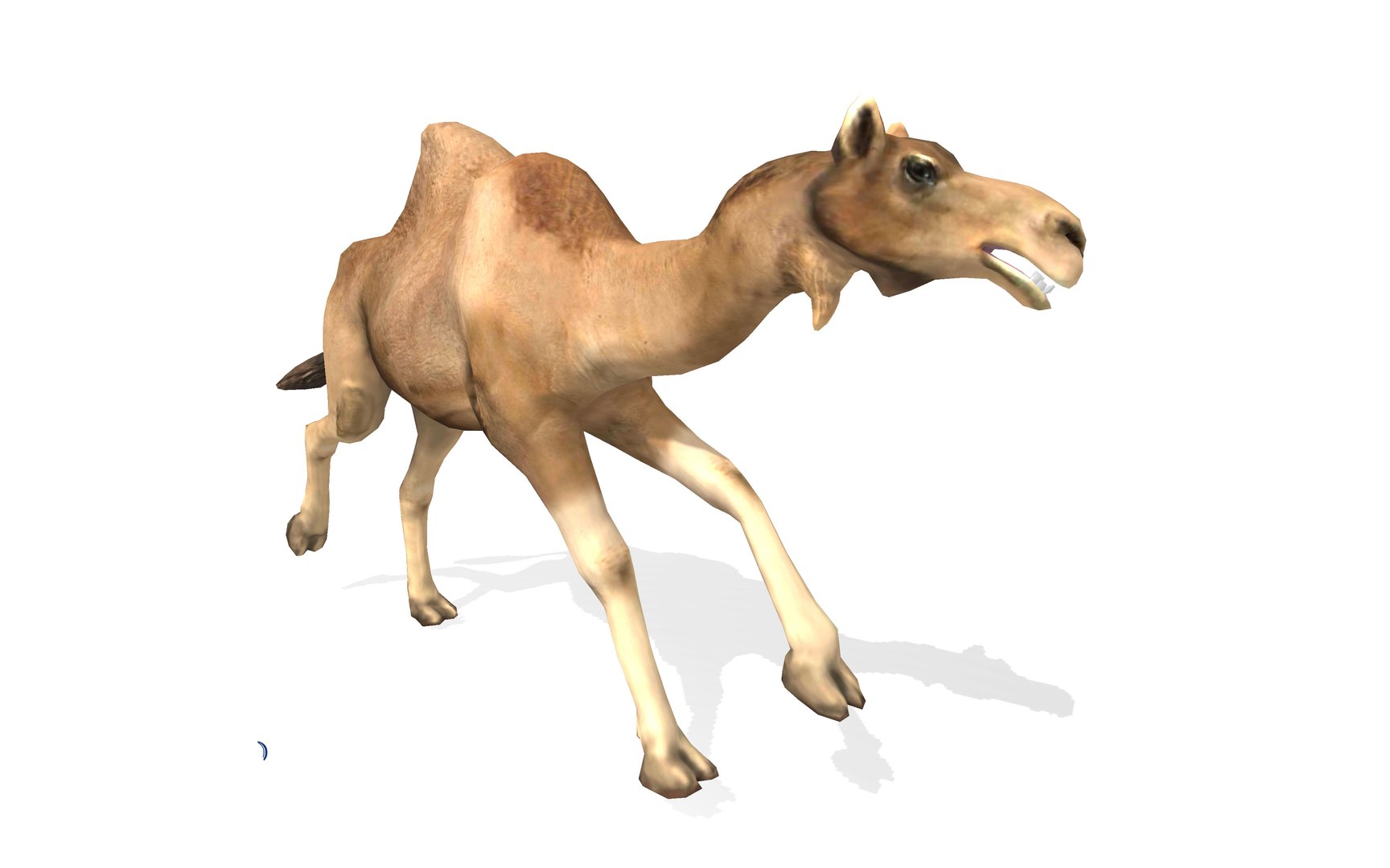 3D dromedary camel rigged animal model https://p.turbosquid.com/ts-thumb/hj/PxZKgw/rOdtRxJ6/5/jpg/1583138231/1920x1080/fit_q87/381931dbf533a3376fbe584c42b6ede817be27a4/5.jpg