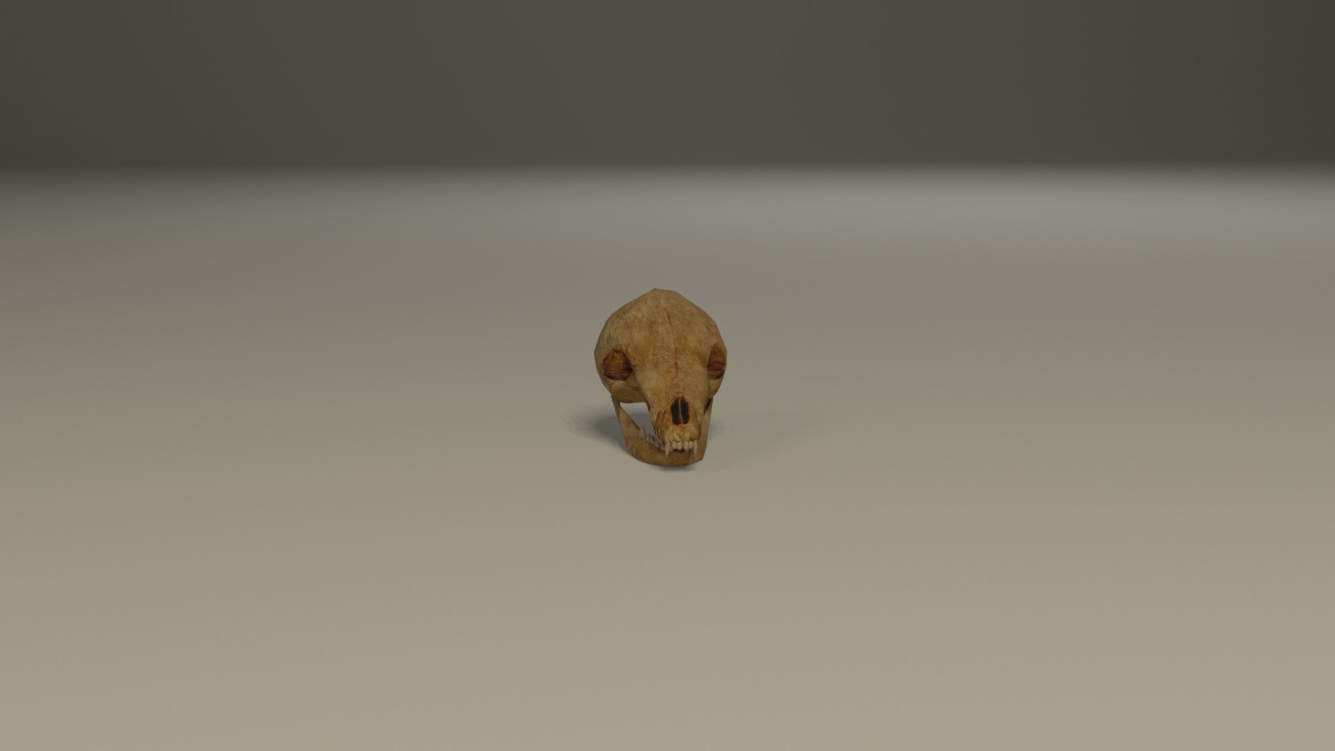 Animal skull 3D model https://p.turbosquid.com/ts-thumb/hj/R6GHA8/RG/animalskullrender6/jpg/1658704817/1920x1080/fit_q87/60e0cd773ce4af11ac6b146a2ea6bd3f5a0d7ae9/animalskullrender6.jpg