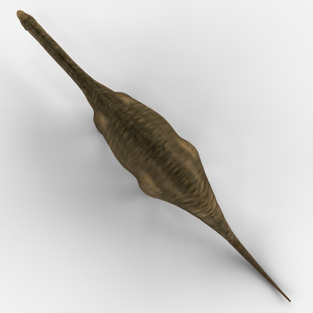 Brontosaurus Prehistoric Dinosaur 3d Model