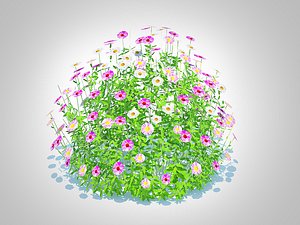 Erigeron karvinskianus 3D model