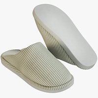 Women's Slippers 1