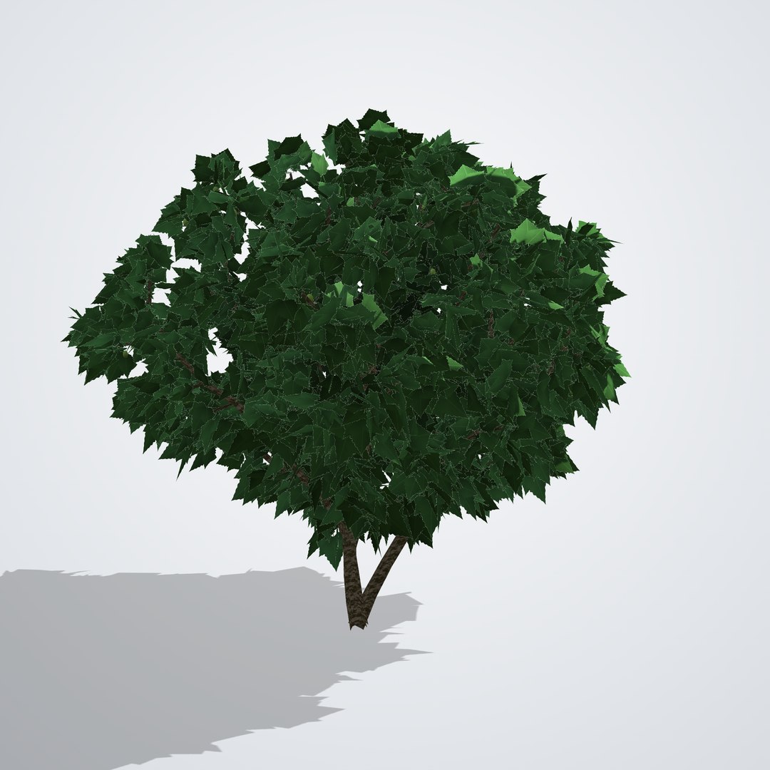 Common Fig Tree - Ficus carica 3D model https://p.turbosquid.com/ts-thumb/hj/Yp7iq4/D4/ficuscarica_03_back/png/1790120154/1920x1080/fit_q87/e819f42474831088fce83629c7a5e6b99d42bb61/ficuscarica_03_back.jpg