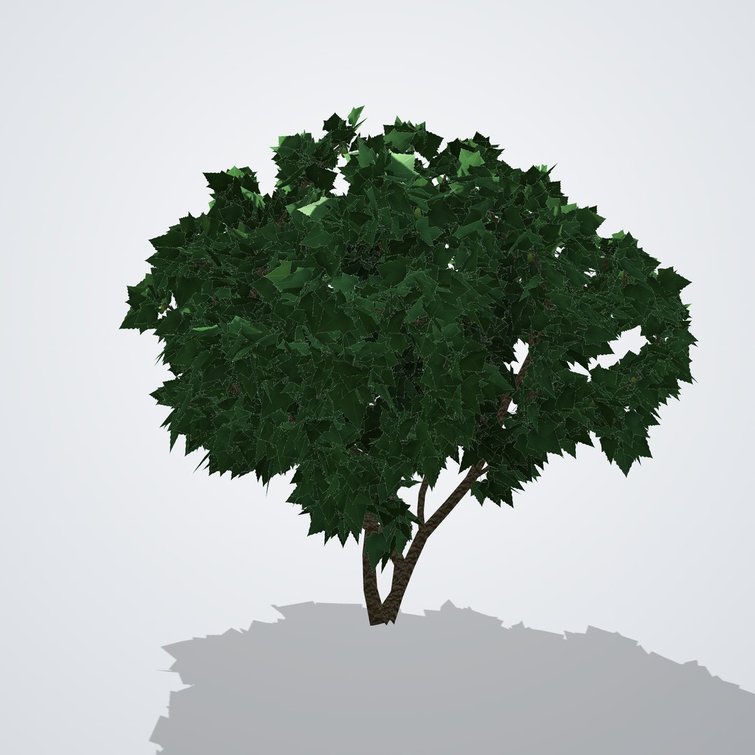 20 Trees Collection - Ornamental, Fruit and Shade Trees model https://p.turbosquid.com/ts-thumb/hj/Yp7iq4/YP/ficuscarica_02_side_right/png/1792518181/1920x1080/fit_q87/dd3f8497f0c915c64e4b9cbae7b45a6e6fafcdc3/ficuscarica_02_side_right.jpg