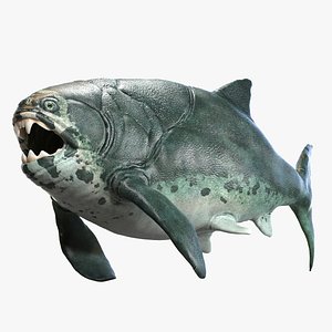 Dunkleosteus terrelli