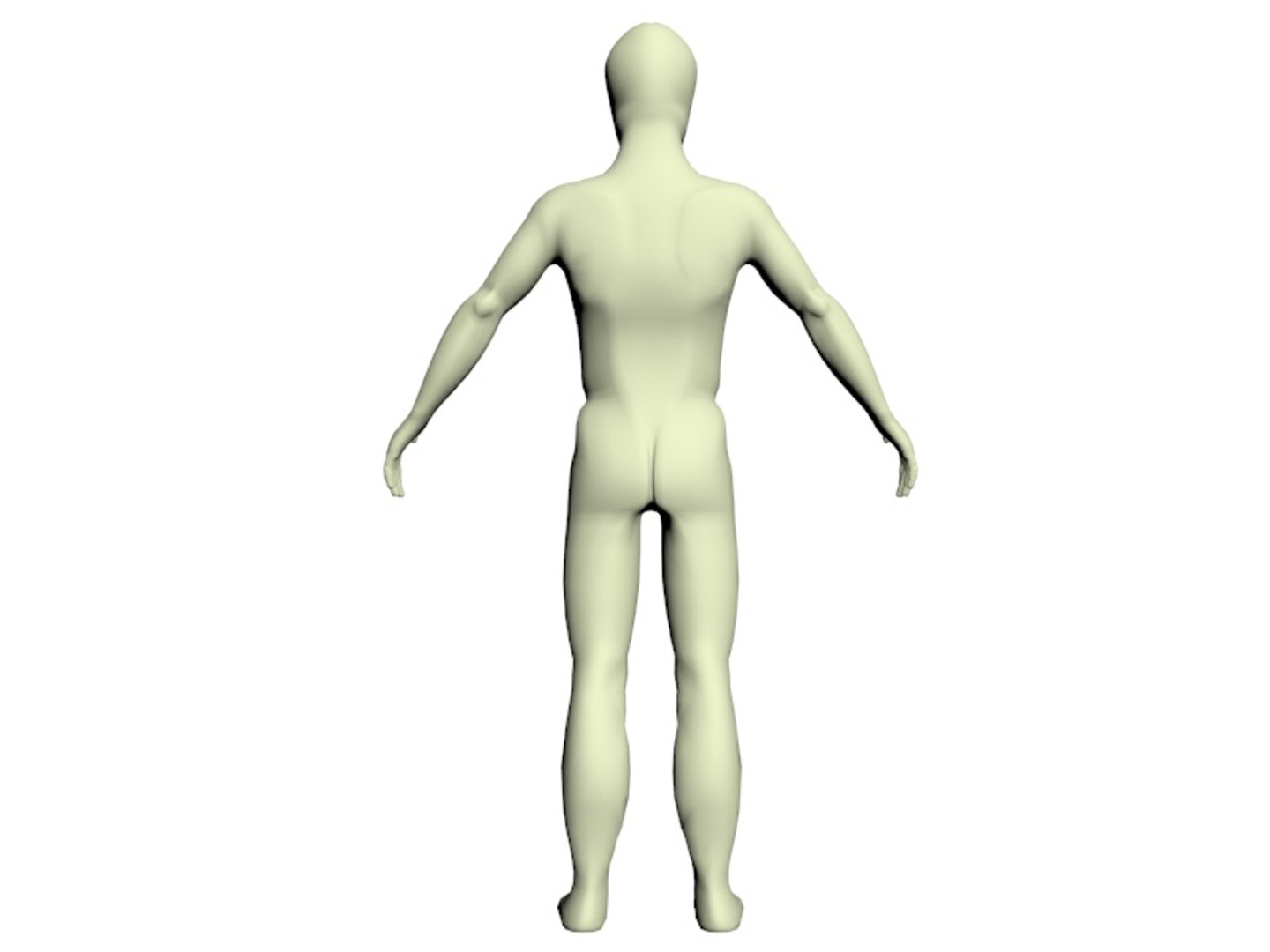 Simple Character Body Reference 3d Max