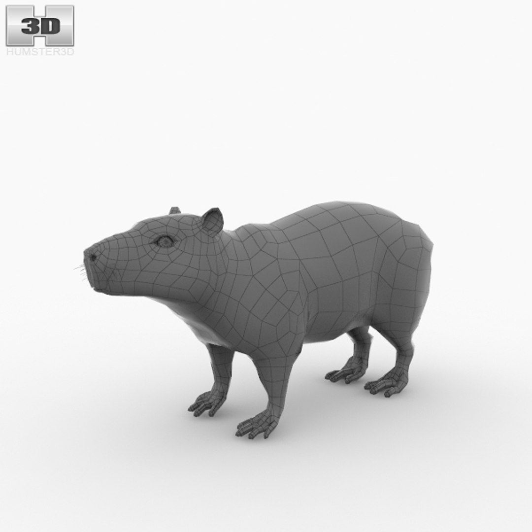 Capivara Minecraft Modelo 3D - TurboSquid 2076228