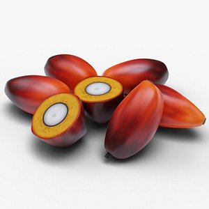 Oil palm fruits 3D