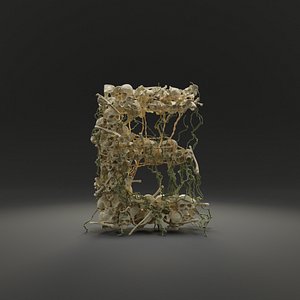 3D e bones