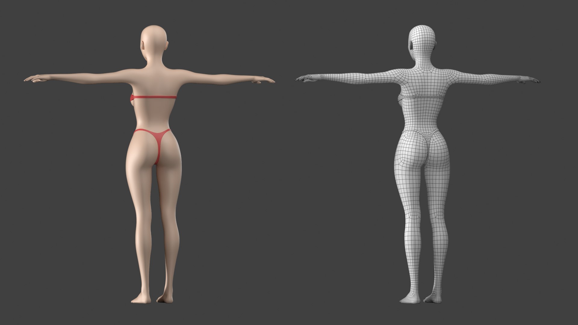 Natural Female 01 T-Pose Base Mesh  3D Characters & People ~ Creative  Market