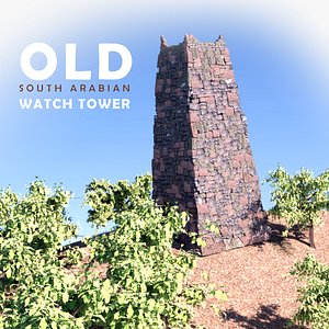 3D Hi-Res South Arabian Watchtower , Saudi Arabia