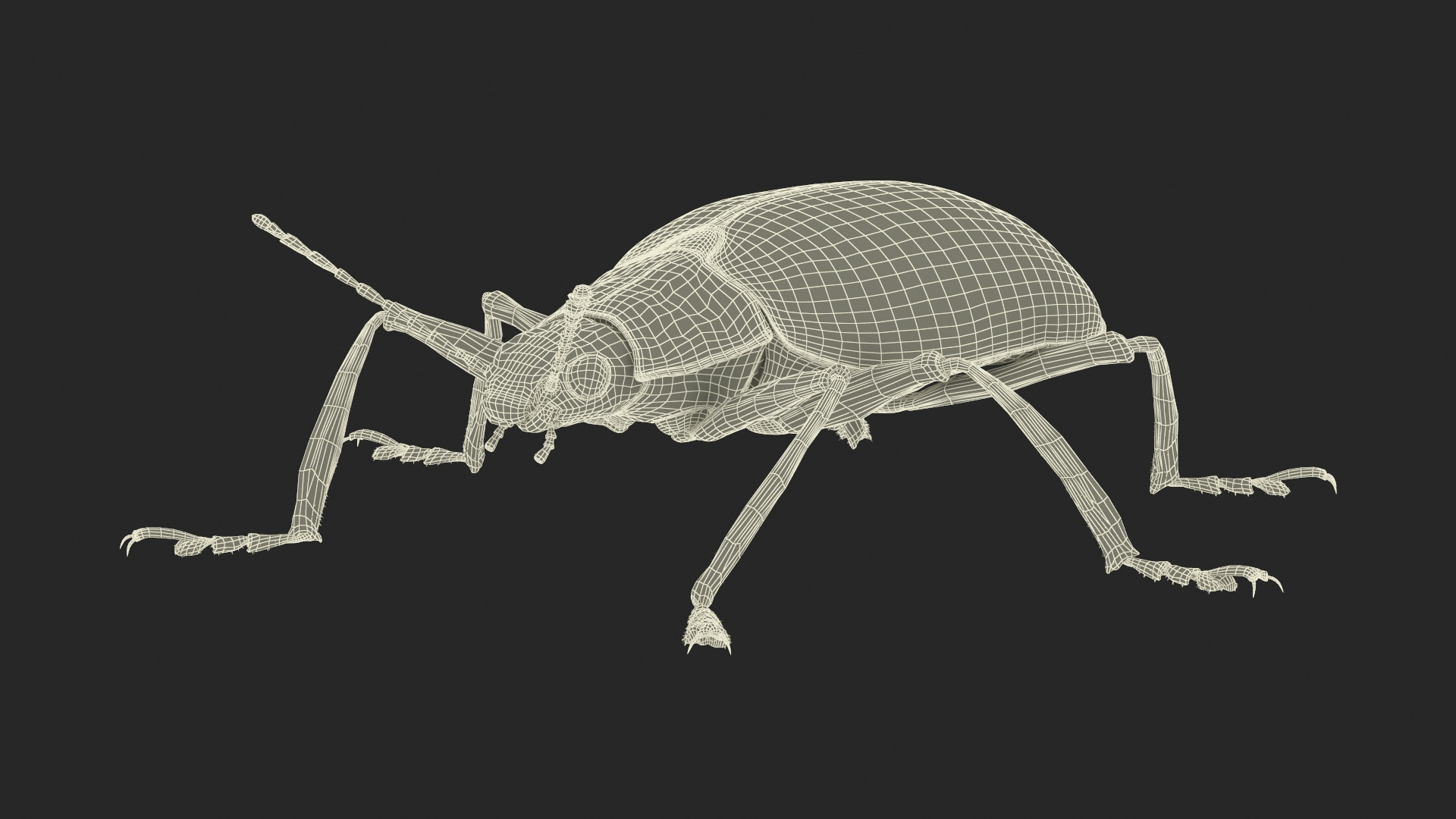 Blue Pleasing Fungus Beetle Rigged Fur 3D model https://p.turbosquid.com/ts-thumb/hk/TNGqgV/48/blue_pleasing_fungus_beetle_rigged_fur_361/jpg/1724156427/1920x1080/turn_fit_q99/c61b2c2f60d2e301f1eed65ef3b89835088d49e6/blue_pleasing_fungus_beetle_rigged_fur_361-1.jpg