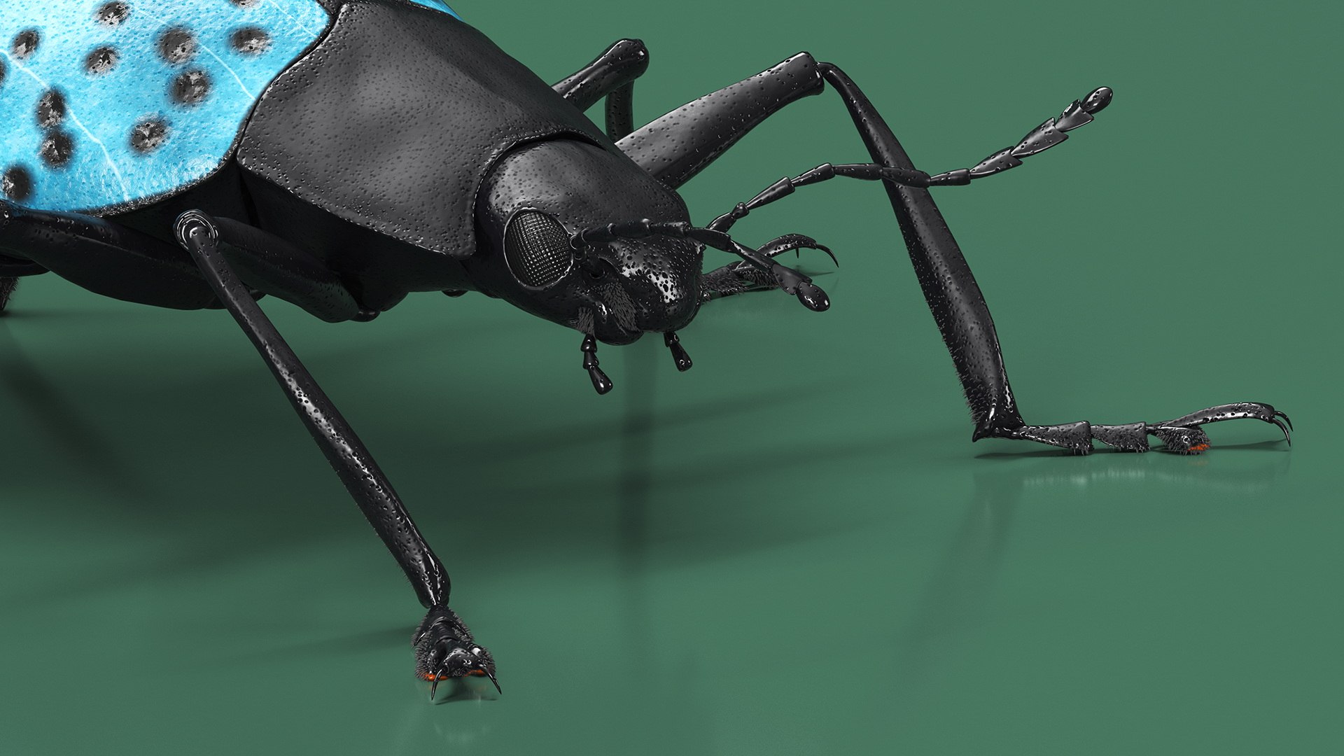 Blue Pleasing Fungus Beetle Rigged Fur 3D model https://p.turbosquid.com/ts-thumb/hk/TNGqgV/5n/bluepleasingfungusbeetleriggedfur3dmodel012/jpg/1724156752/1920x1080/fit_q87/3d33c005c3da5586a86ac18e7c5171898388dcc4/bluepleasingfungusbeetleriggedfur3dmodel012.jpg