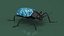 Blue Pleasing Fungus Beetle Rigged Fur