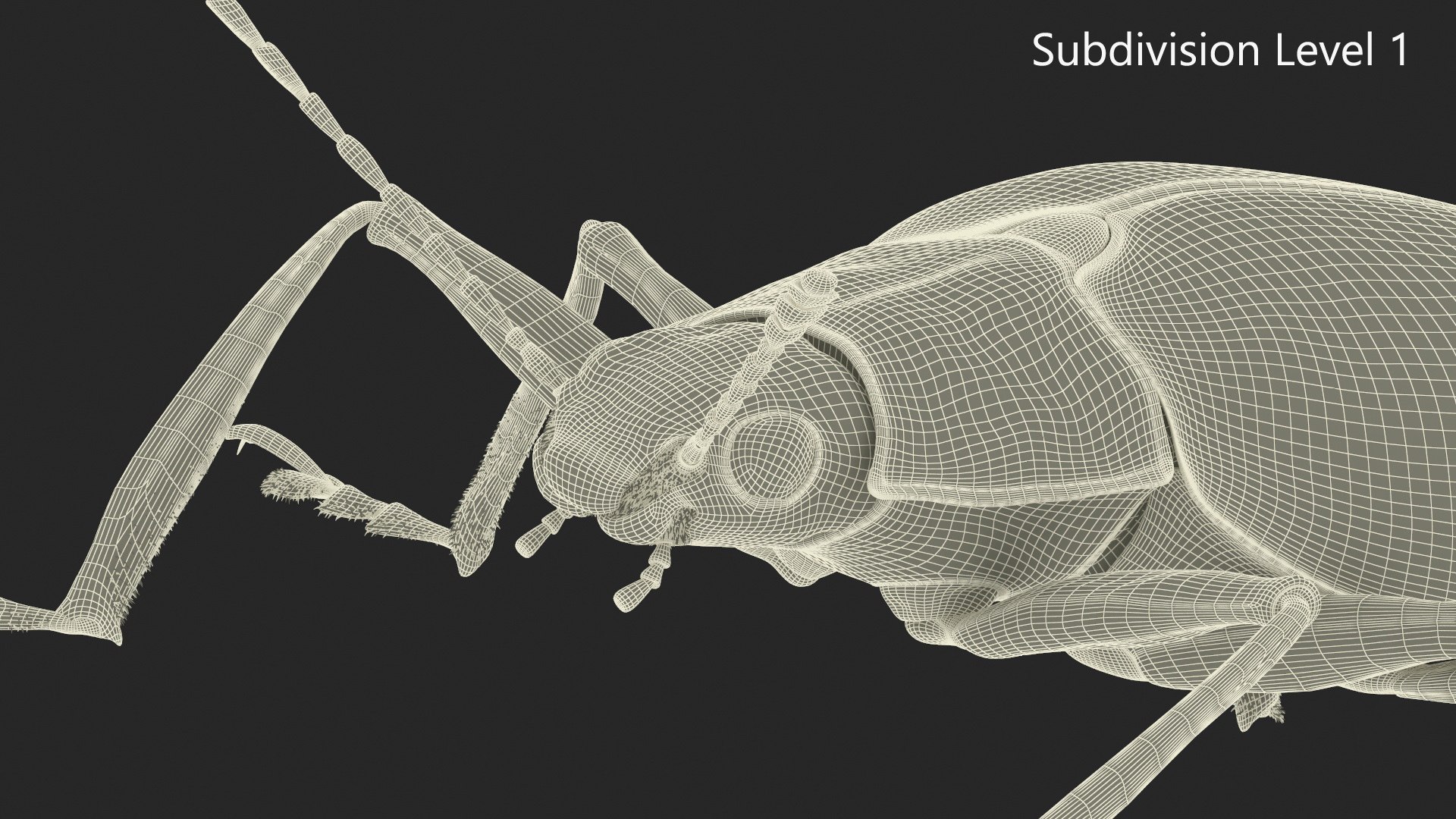 Blue Pleasing Fungus Beetle Rigged Fur 3D model https://p.turbosquid.com/ts-thumb/hk/TNGqgV/A9/bluepleasingfungusbeetleriggedfur3dmodel024/jpg/1724156810/1920x1080/fit_q87/6f9e69bacefe1c378138dabec224b69511d6e1ba/bluepleasingfungusbeetleriggedfur3dmodel024.jpg