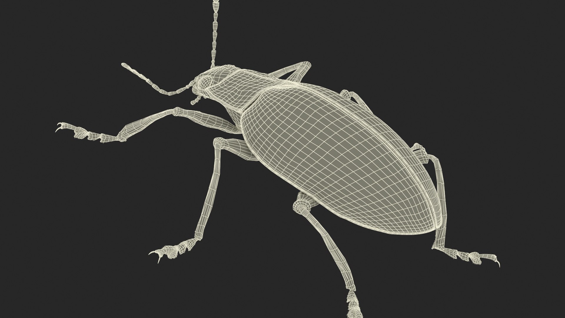 Blue Pleasing Fungus Beetle Rigged Fur 3D model https://p.turbosquid.com/ts-thumb/hk/TNGqgV/CL/bluepleasingfungusbeetleriggedfur3dmodel033/jpg/1724156852/1920x1080/fit_q87/be091ba2d1bab139ed55b3c95081134cae91bbdf/bluepleasingfungusbeetleriggedfur3dmodel033.jpg