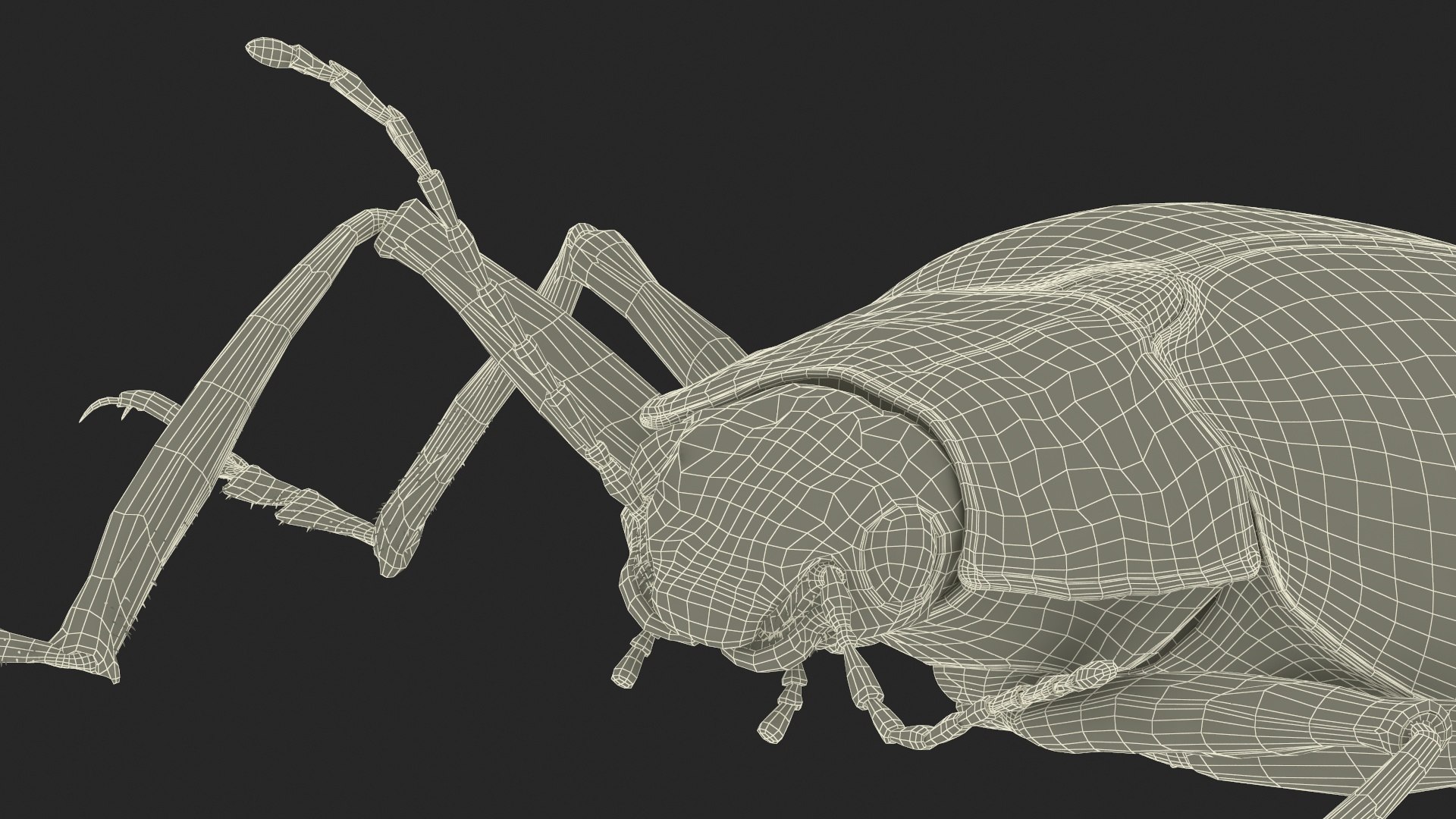 Blue Pleasing Fungus Beetle Rigged Fur 3D model https://p.turbosquid.com/ts-thumb/hk/TNGqgV/Cg/bluepleasingfungusbeetleriggedfur3dmodel031/jpg/1724156843/1920x1080/fit_q87/959e1b2103dc823b4a53be0cf0c8eb18a05aa7c7/bluepleasingfungusbeetleriggedfur3dmodel031.jpg