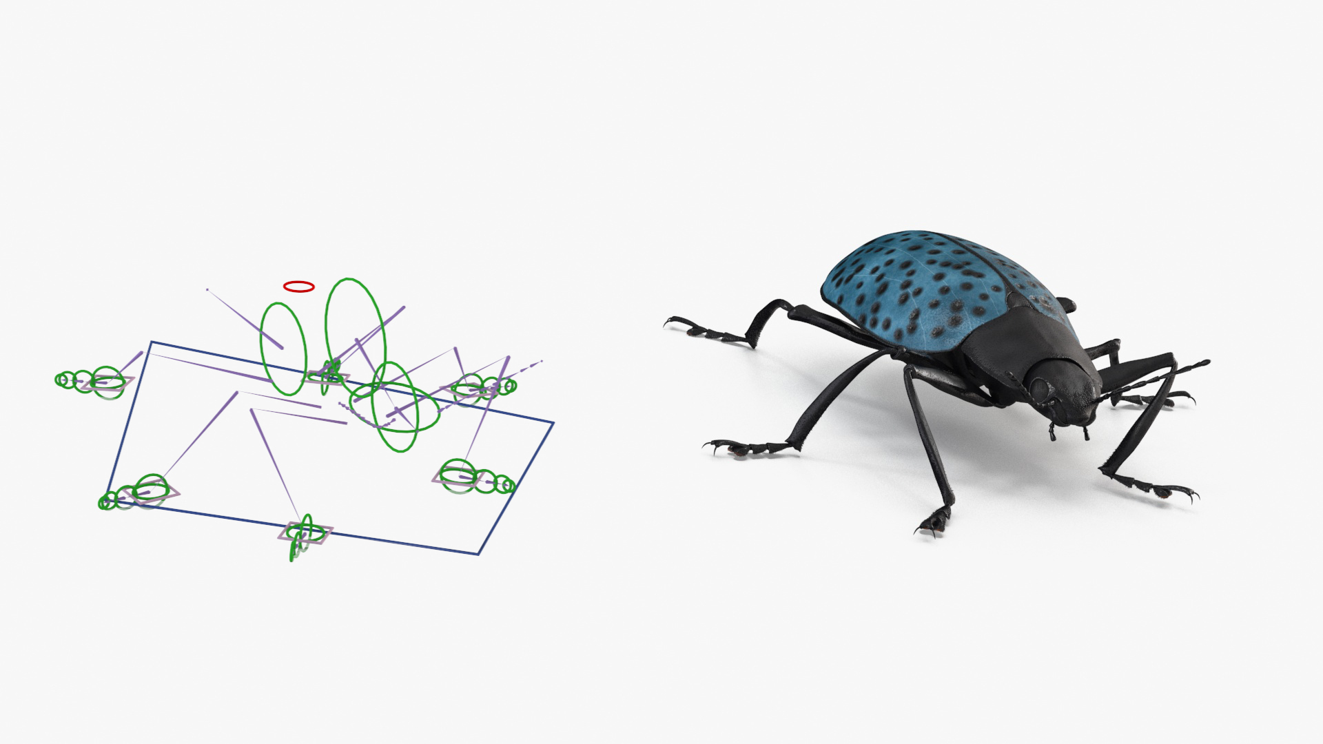 Blue Pleasing Fungus Beetle Rigged Fur 3D model https://p.turbosquid.com/ts-thumb/hk/TNGqgV/MF/blue_pleasing_fungus_beetle_rigged_fur_362/jpg/1724156264/1920x1080/turn_fit_q99/f5af93294372174dc8b680f68d8345645393e9f2/blue_pleasing_fungus_beetle_rigged_fur_362-1.jpg