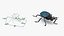 Blue Pleasing Fungus Beetle Rigged Fur 3D model
