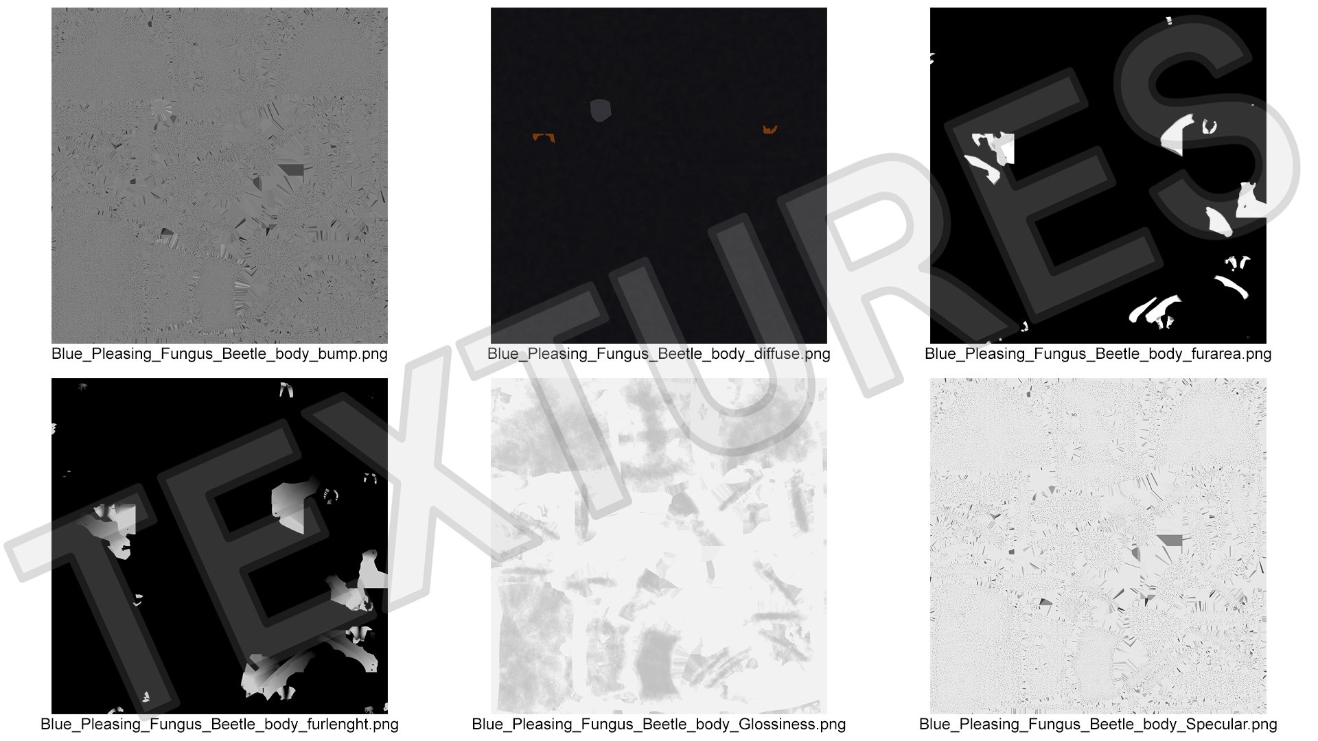 Blue Pleasing Fungus Beetle Rigged Fur 3D model https://p.turbosquid.com/ts-thumb/hk/TNGqgV/Za/bluepleasingfungusbeetleriggedfur3dmodel026/jpg/1724156819/1920x1080/fit_q87/62fe91fa424d2904f6538cb5b9e21cbf6dc30f06/bluepleasingfungusbeetleriggedfur3dmodel026.jpg