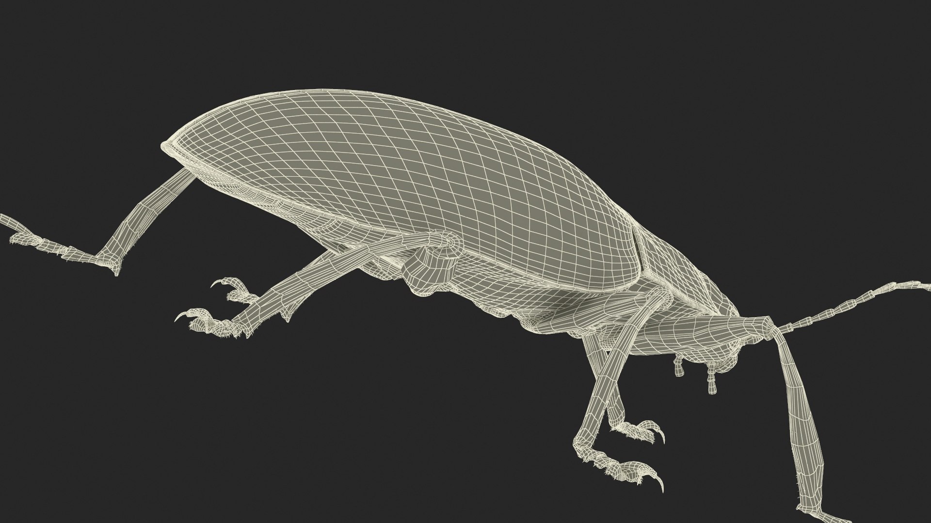 Blue Pleasing Fungus Beetle Rigged Fur 3D model https://p.turbosquid.com/ts-thumb/hk/TNGqgV/eJ/bluepleasingfungusbeetleriggedfur3dmodel034/jpg/1724156856/1920x1080/fit_q87/4576ae0a597a1081d8093fbc0465a9d3cf7ec261/bluepleasingfungusbeetleriggedfur3dmodel034.jpg