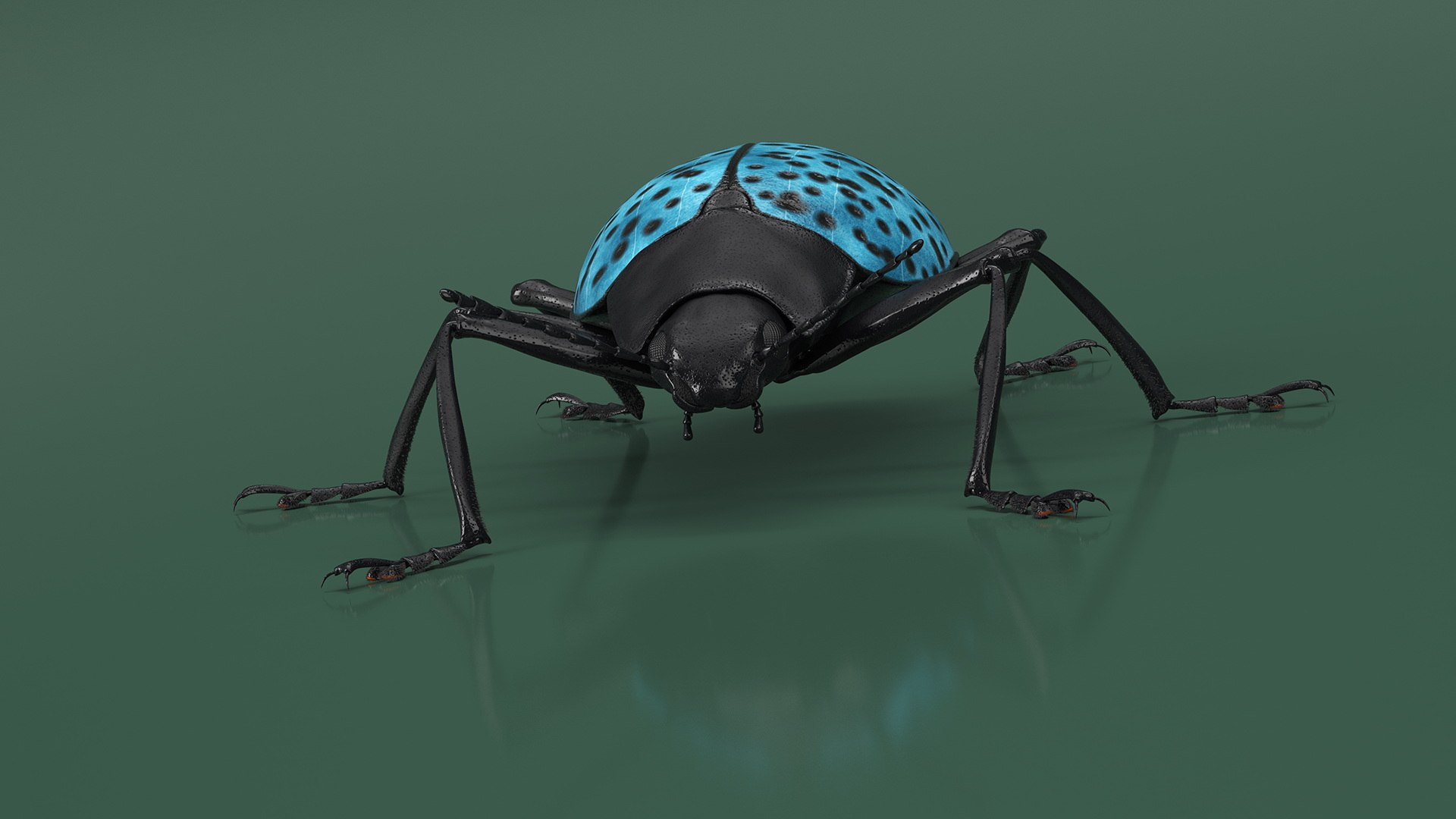 Blue Pleasing Fungus Beetle Rigged Fur 3D model https://p.turbosquid.com/ts-thumb/hk/TNGqgV/gr/bluepleasingfungusbeetleriggedfur3dmodel011/jpg/1724156747/1920x1080/fit_q87/1120394ff1aef0693e475d10310dffab313b9ee0/bluepleasingfungusbeetleriggedfur3dmodel011.jpg